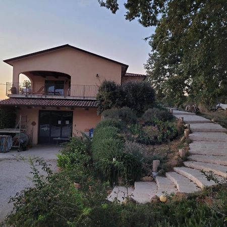 La Residenza Di Campagna Guest House Manciano Bagian luar foto