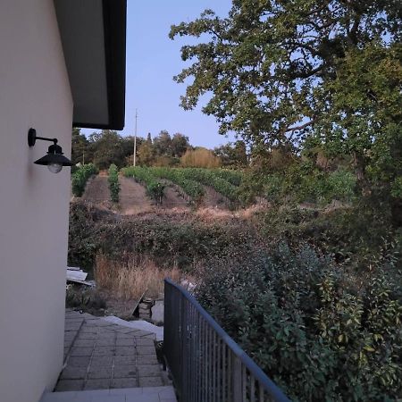 La Residenza Di Campagna Guest House Manciano Bagian luar foto