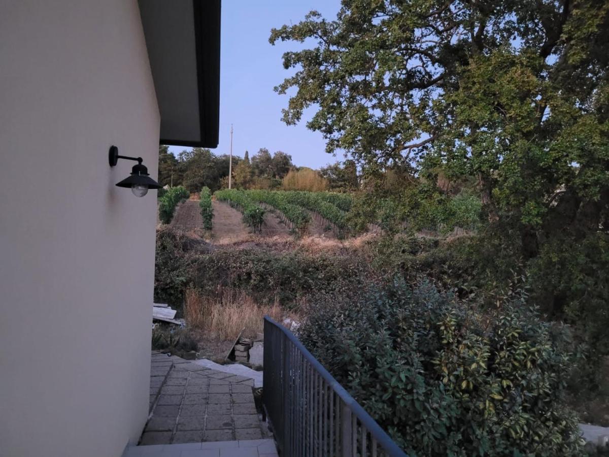 La Residenza Di Campagna Guest House Manciano Bagian luar foto