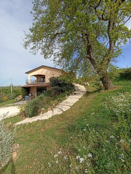 La Residenza Di Campagna Guest House Manciano Bagian luar foto
